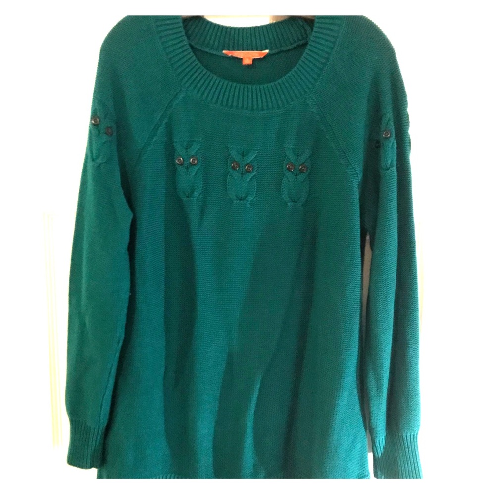 Long Teal Pullover Sweater With Owls